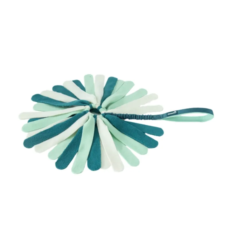 Coachi Puppy & Mini Tuggi Spider Teal & Mint