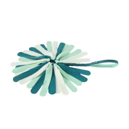 Coachi Puppy & Mini Tuggi Spider Teal & Mint