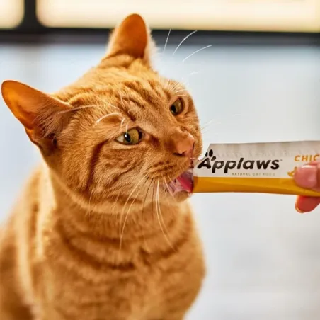 Applaws kassi maius kanapüree 4 x15g