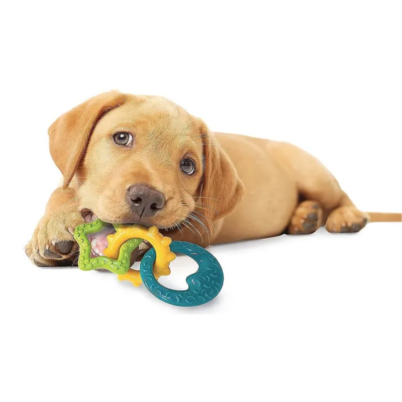 Nylabone närimisrõngas kutsikatele Puppy Teething Rings Bacon Extreme