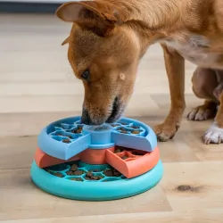 Nina Ottosson Arendav mänguasi ja aeglaselt söömise kauss kutsikatele Puppy Lickin’ Layers Tase 2