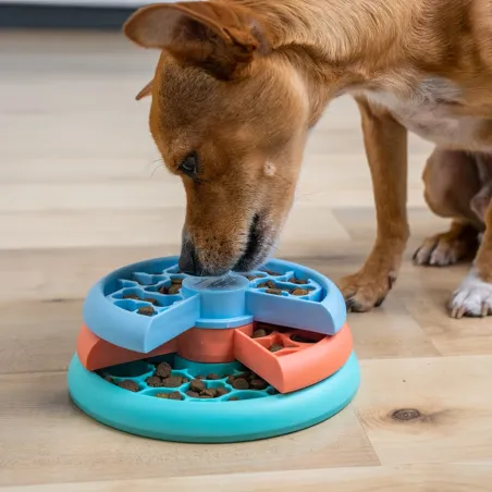 Nina Ottosson Arendav mänguasi ja aeglaselt söömise kauss kutsikatele Puppy Lickin’ Layers Tase 2
