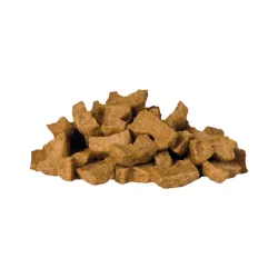 ARAS Dentinos maiused kassile 50g
