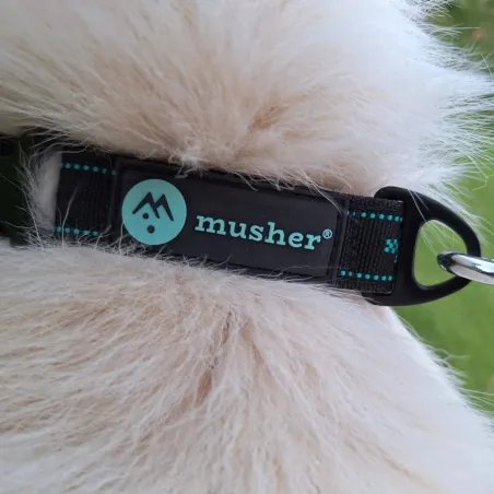 Musher ANVIK Strong kaelarihm