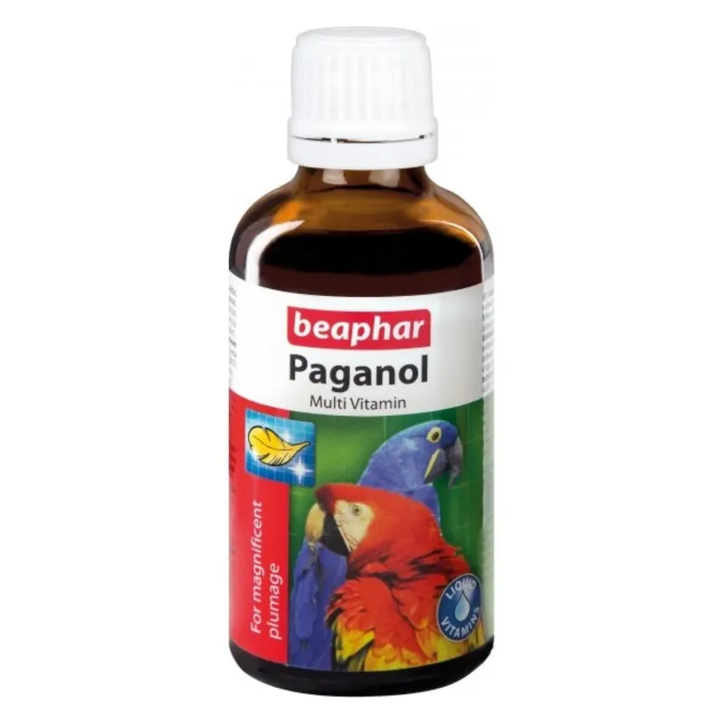 BE-Paganol sulgimist soodustav Multivitamin 50ml
