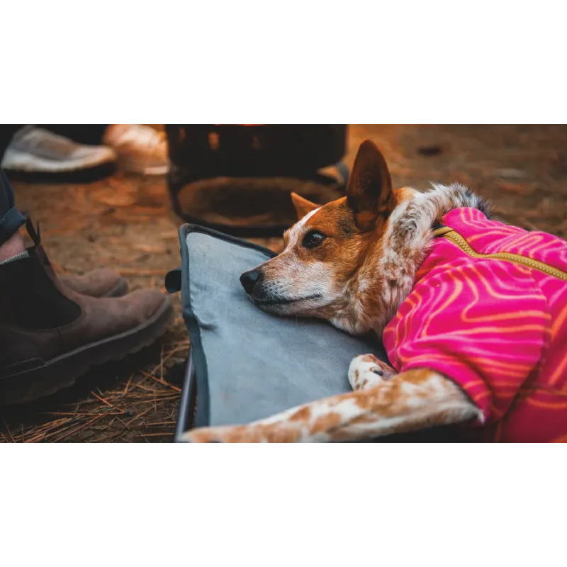 Ruffwear Mt. EverRest™ koeravoodi