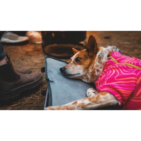 Ruffwear Mt. EverRest™ koeravoodi