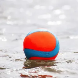 Chuckit! pall Amphibious MEGA ball