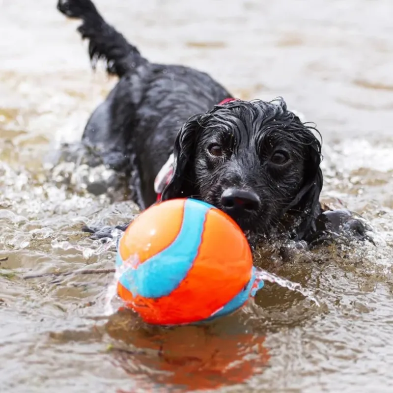 Chuckit! pall Amphibious MEGA ball