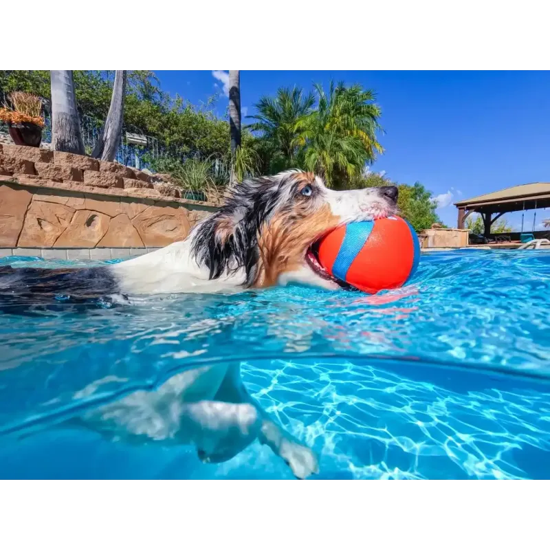 Chuckit! pall Amphibious MEGA ball