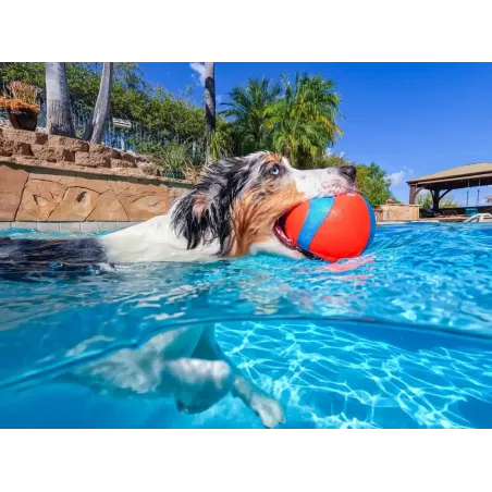 Chuckit! pall Amphibious MEGA ball
