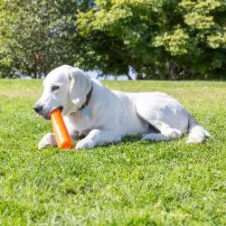 Chuckit! krõbisev viskepulk Super Crunch Stick