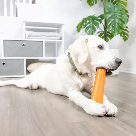 Chuckit! krõbisev viskepulk Super Crunch Stick