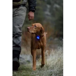 Ruffwear The Beacon™ Safety Light