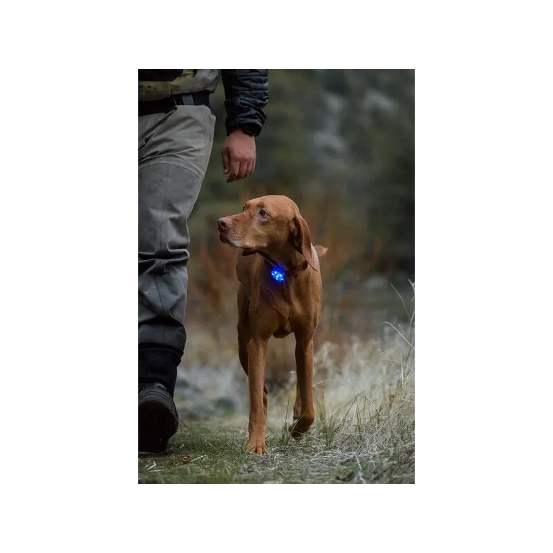 Ruffwear The Beacon™ Safety Light