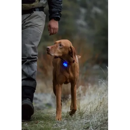 Ruffwear The Beacon™ Safety Light