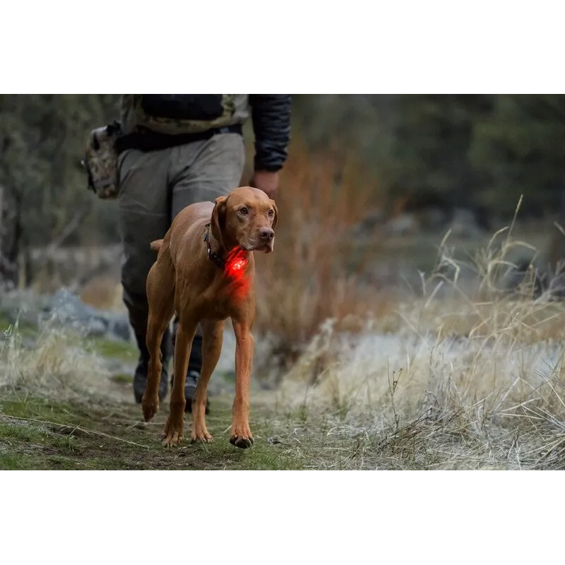 Ruffwear The Beacon™ Safety Light