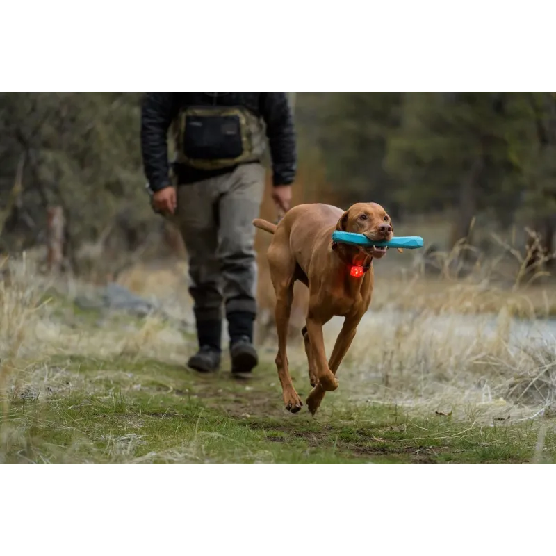 Ruffwear The Beacon™ Safety Light