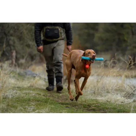 Ruffwear The Beacon™ Safety Light