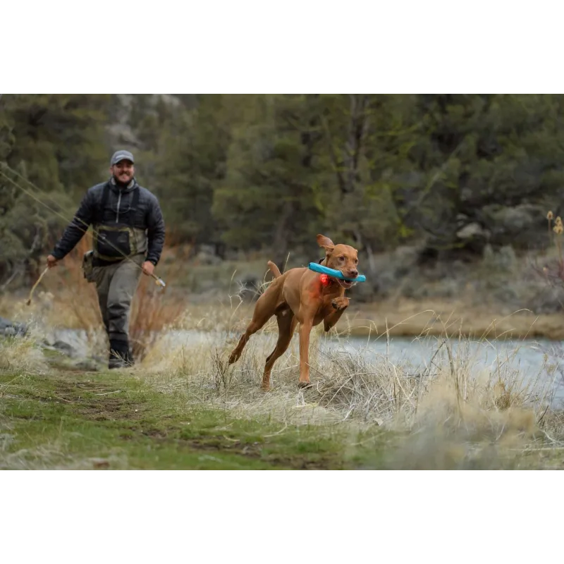 Ruffwear The Beacon™ Safety Light