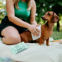 Tickless putukatõrjelapid koertele Citronella Dog Wipe