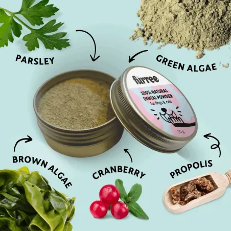 Fürree hambapuhastuspulber DENTAL POWDER 20g