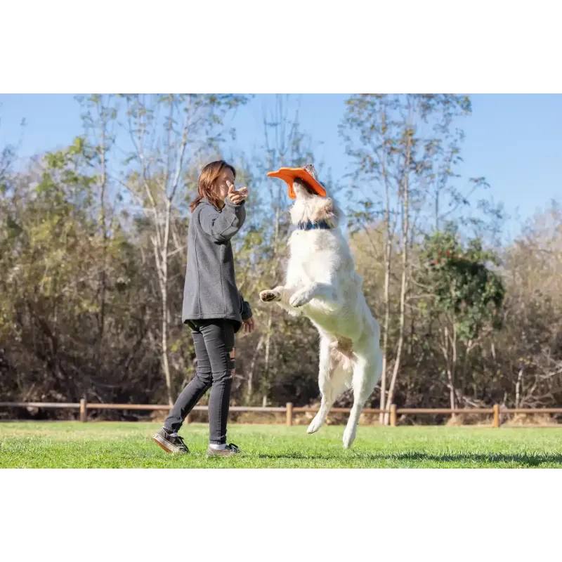 Chuckit! lendav taldrik Ultra FLying Squirrel