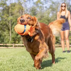Chuckit! toomismänguasi Kickoff
