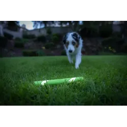 Chuckit! helendav viskepulk Max Glow Ultra Fetchstick