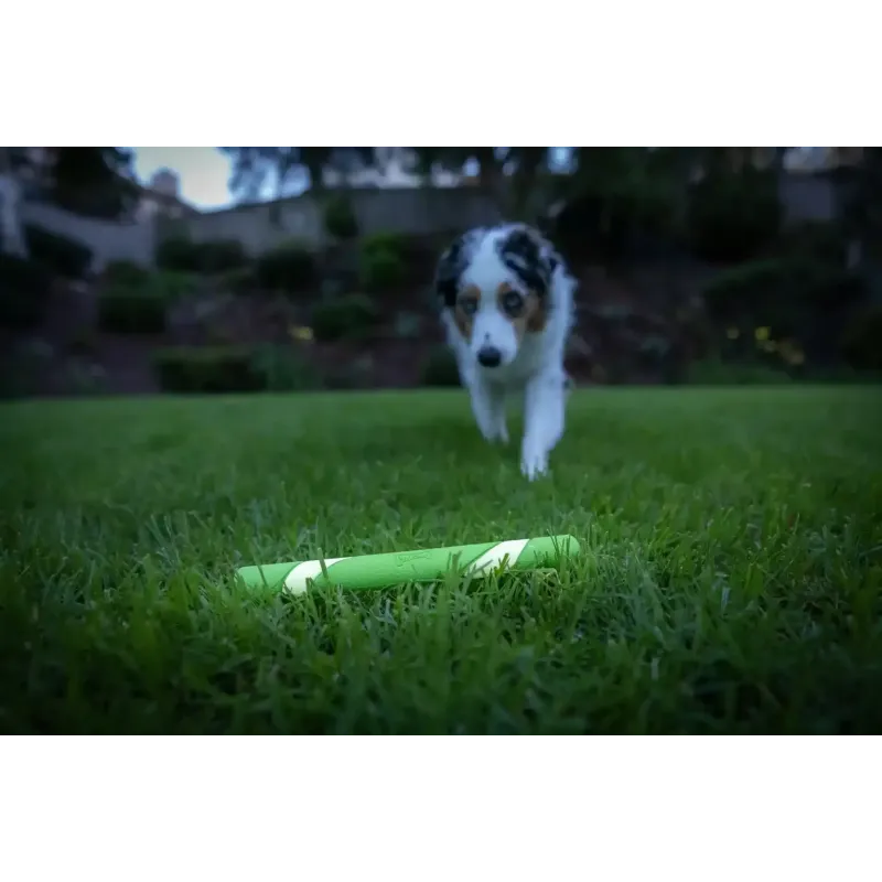 Chuckit! helendav viskepulk Max Glow Ultra Fetchstick