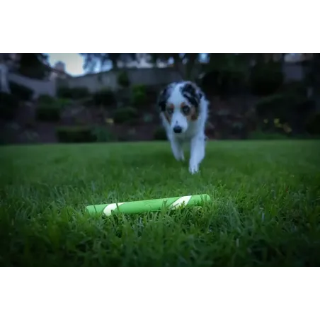 Chuckit! helendav viskepulk Max Glow Ultra Fetchstick