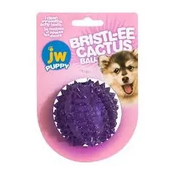 JW pall Bristly Cactus Ball