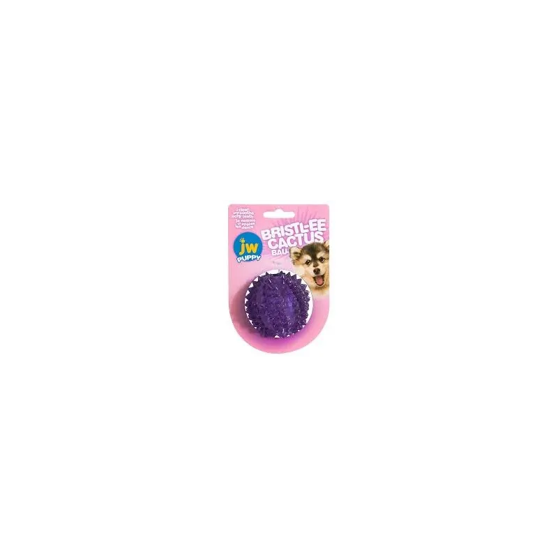JW pall Bristly Cactus Ball