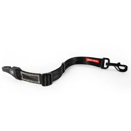 Ezydog turvavöö kinnitus auto pagasiruumi/ tagaistmele Click ISOFIX Cargo