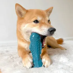 Nylabone närimismänguasi lõhega Power Chew Ocean Nylon Textured Fish Salmon  M