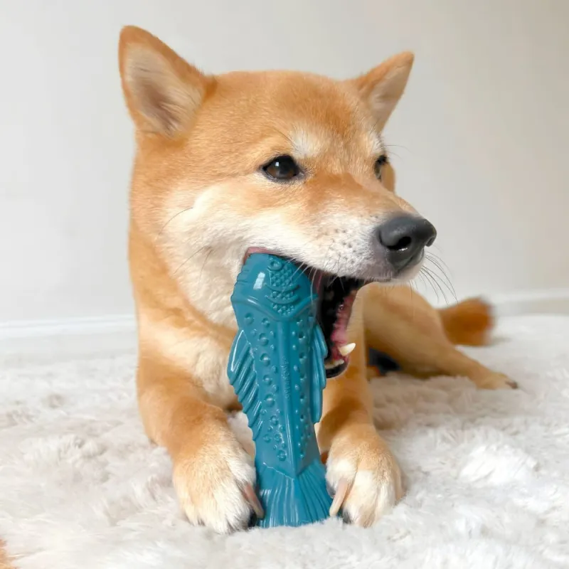 Nylabone närimismänguasi lõhega Power Chew Ocean Nylon Textured Fish Salmon  M