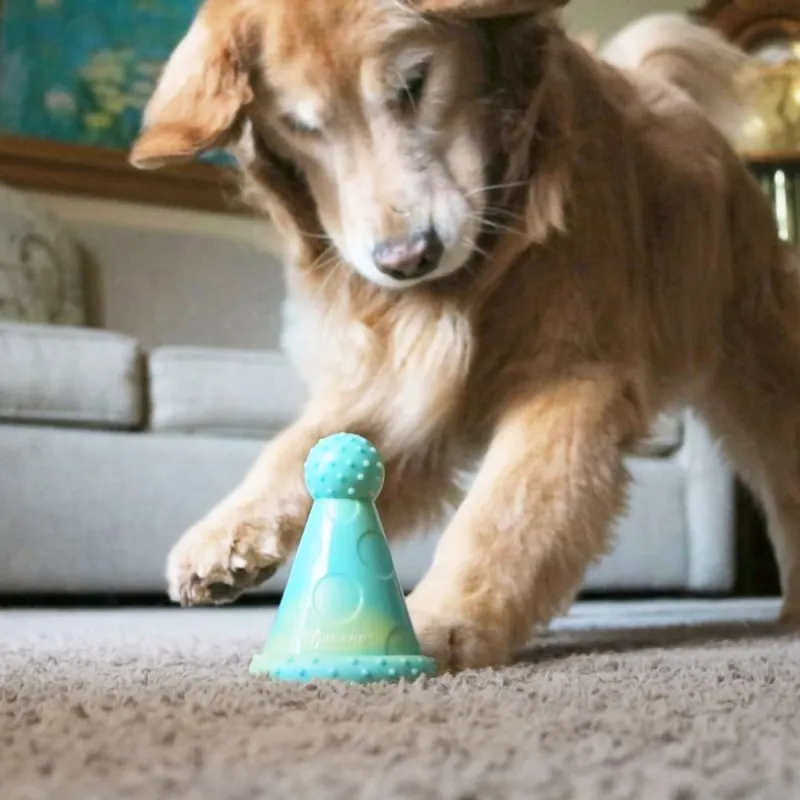 Nylabone närimismänguasi maapähklivõiga Power Chew Party Hat Peanut Butter L