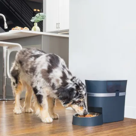 PetSafe Smart Feed automaatne söötja Wi-Fi ühendusega 5.7l