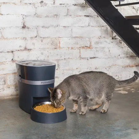 PetSafe Smart Feed automaatne söötja Wi-Fi ühendusega 5.7l