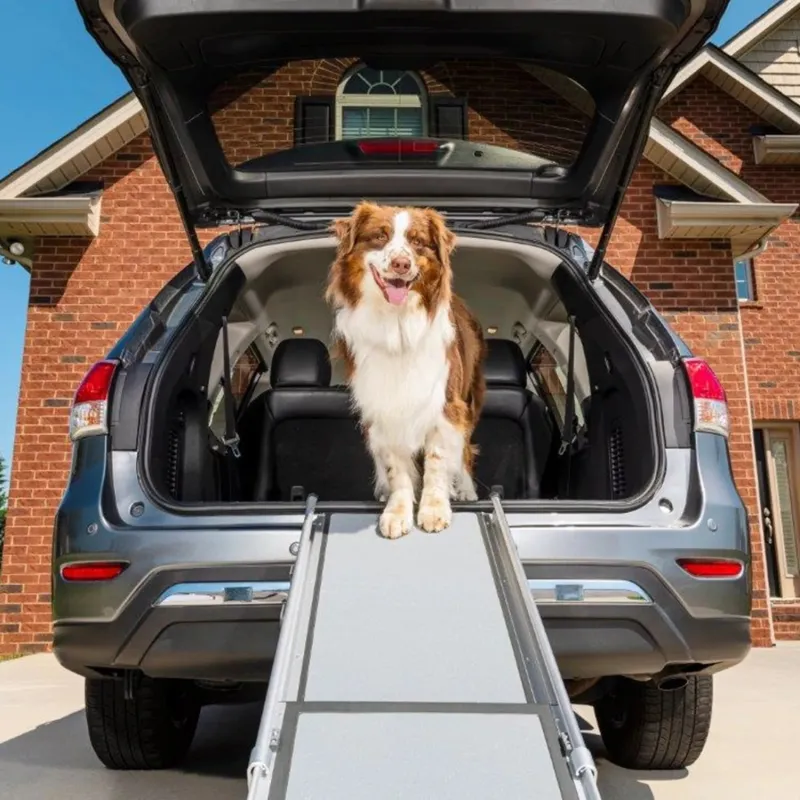 PetSafe Happy Ride teleskoop-koeraramp