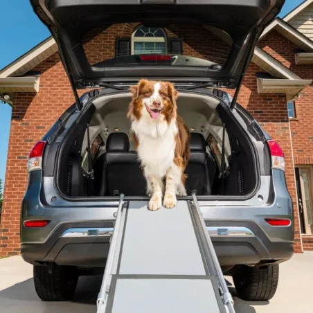 PetSafe Happy Ride teleskoop-koeraramp