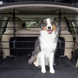 PetSafe Happy Ride metallist koeravõre autosse