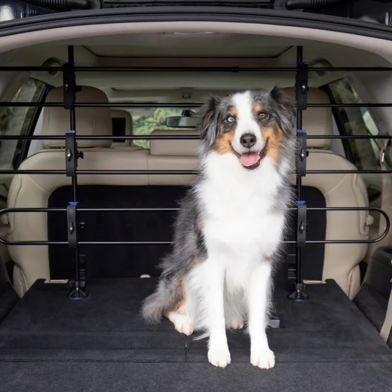 PetSafe Happy Ride metallist koeravõre autosse