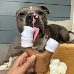 Nylabone Strong Chew pulk vahukommi ja maapähklivõi lõhnaga Marshmallow Stick