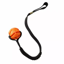 Dingo nööriga treeningpall Tug with ball and bungee handles 65 CM