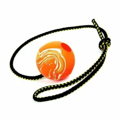 DIngo nööriga treeningpall Retrieving Ball ‘M’ with Rope 60CM Smooth