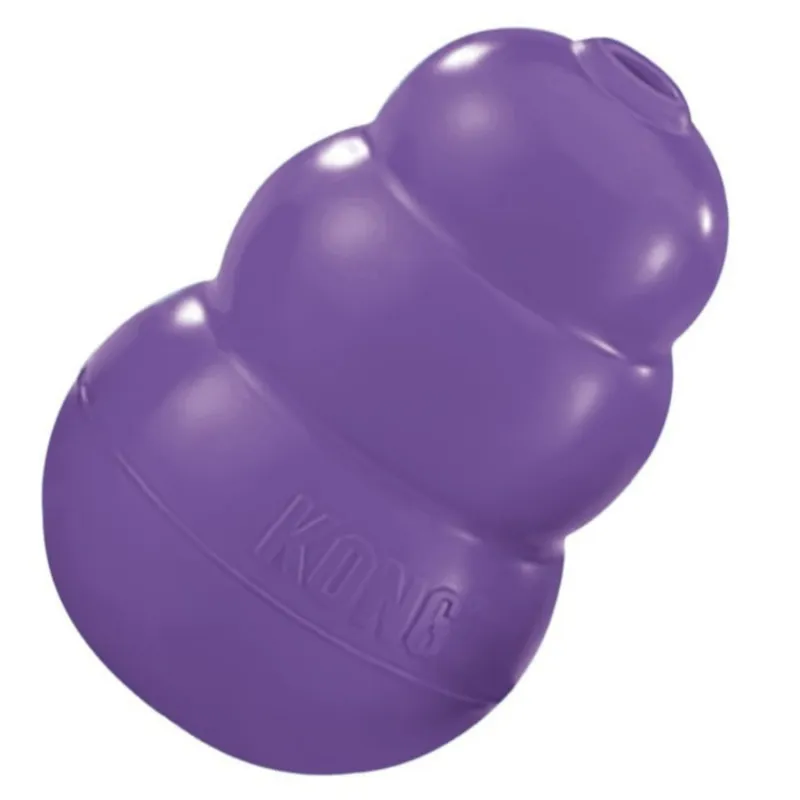 KONG Senior