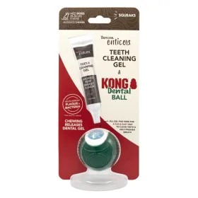KONG hambahoolduskomplekt Dental Ball Kit