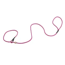 Firedog retriiveririhm Moxon Classic