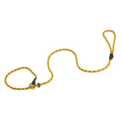 Firedog retriiveririhm Moxon Classic